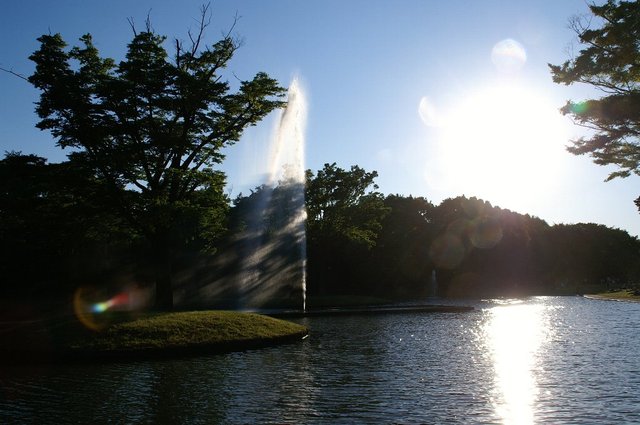 20070520_yoyogipark_008